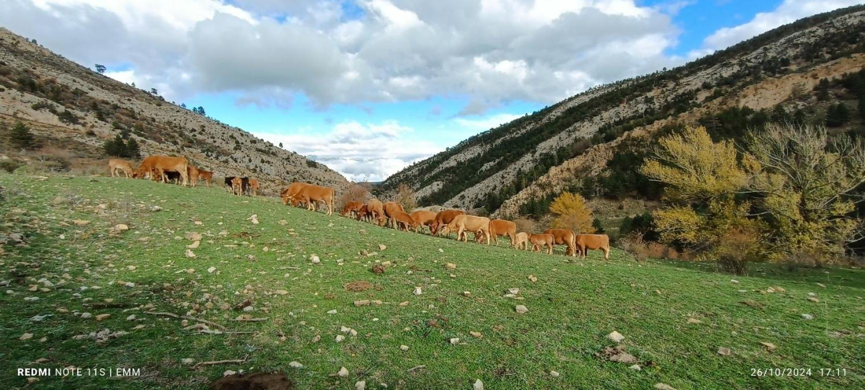 Apartamentos De Turismo Rural La Rocha Fortanete Bagian luar foto